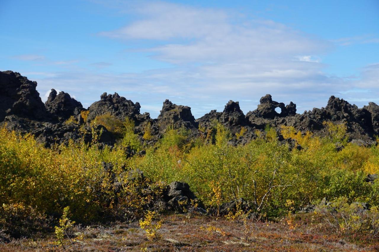 Slow Travel Myvatn - Þufa - Private Homestay Luaran gambar